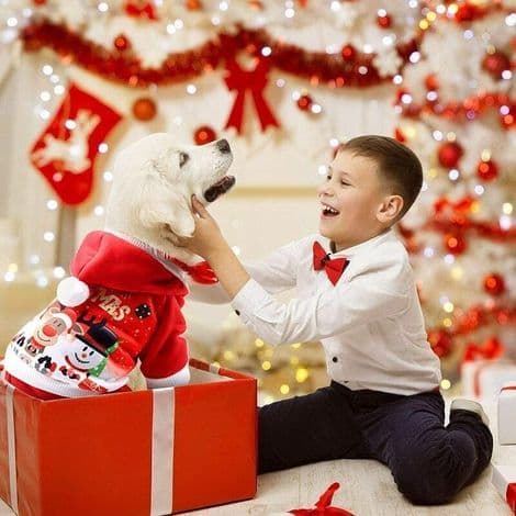 Hettegenser til hund til jul, hettejakke til hund til jul, julehøst- og vinterfrakk til kjæledyr