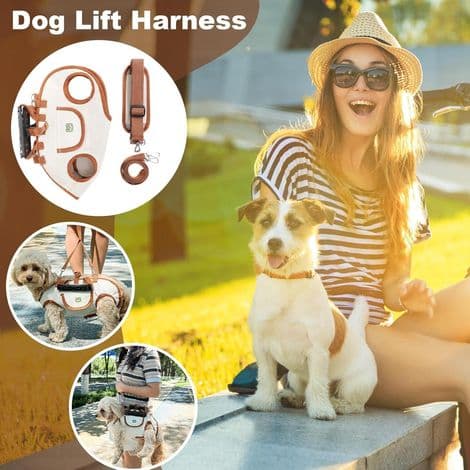 Hundmobilitetssele, hundtransportsele