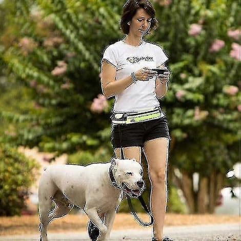 Handsfree elastiskt hundkoppel för löpning (1 set) - grön