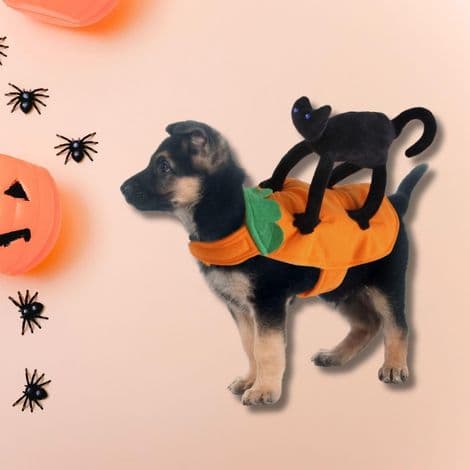 Halloweenkostume til hunde og katte, ideelt til gåture, til små og store hunde. Størrelse S.