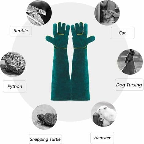 Bitresistenta hanteringshandskar, 60 cm – Tjockt kohudsläder – Bomullsfoder för komfort – Skydd för veterinärer och djuraffärer