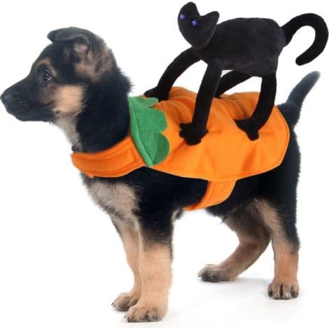Halloweenkostume til hunde og katte, ideelt til gåture, til små og store hunde. Størrelse S.