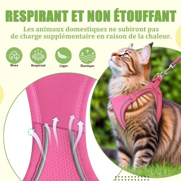 Kattsele - XXS - Rosa - Lättvikt - Rymningssäker