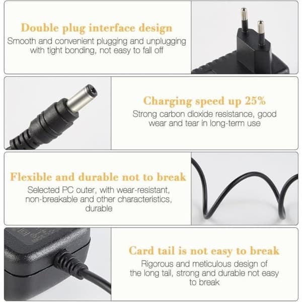 Batterioplader - ZGEER - 12V - 1000mA - Universal - Intelligent Beskyttelse