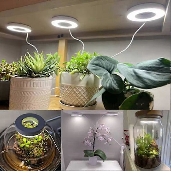 Fullspektrum LED Växtlampa Auto På/Av Timer Tak Under Skåp Växtlampa Gul och