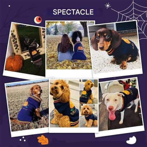 Halloween gresskarhundegenser, marineblå høy hals