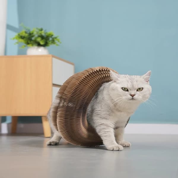 Kattklösbräda (1-pack) med magisk boll och klockleksak – Interaktiv kattleksak