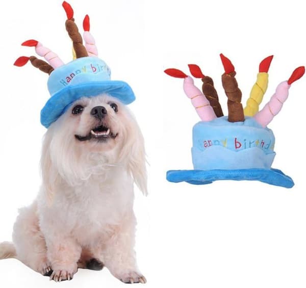 Hundebursdagshatt - Kake- og lysdesign - Én størrelse passer alle - Blå - Festtilbehør