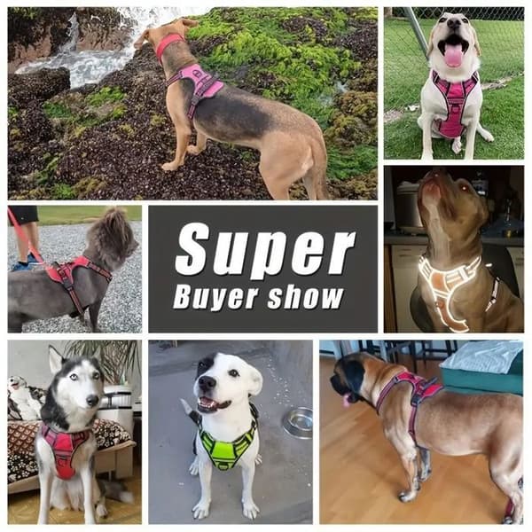 Phoesky \"No-Pull\" Hundevest - Reflekterende - Terylene - Justerbar - 2 Kontrollhåndtak - Svart - S