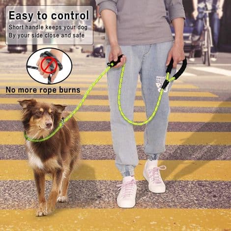 Reflekterande, robust och anti-strypande hundträningskoppel (grön)