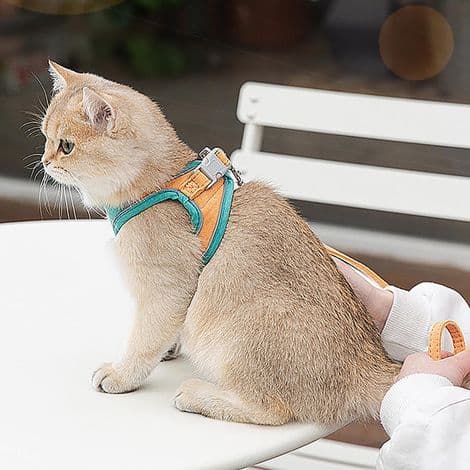 Flugtsikkert sele og snor til katte og små hunde, størrelse M, 1,5-4 kg