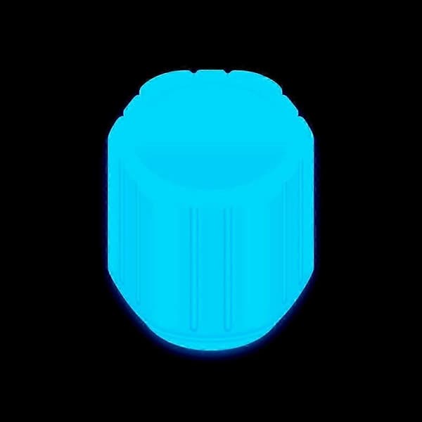 10 st Glödventilhatt Fluorescerande Blå Glöd Bil Motorcykel Cykel Hjul Däck Nav Lysande Ca bs