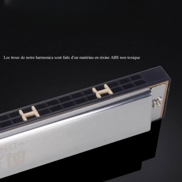 C munnspill med etui, 28-hulls munnspill for voksne og barn