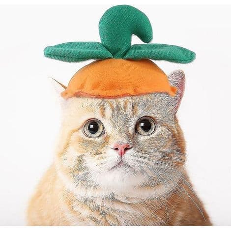 Sjovt kæledyrstøj, græskarhat til Halloween, perfekt til små og mellemstore katte og hunde