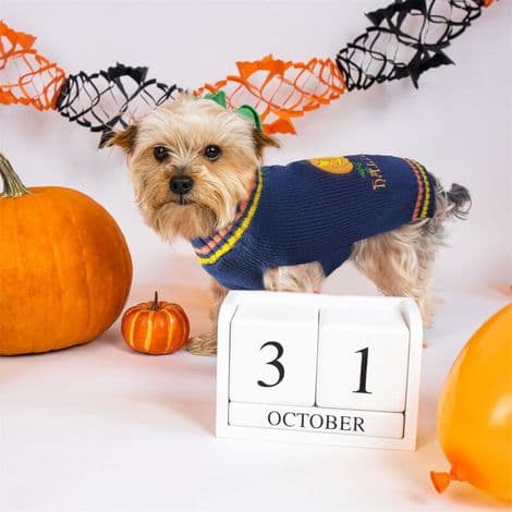 Halloween Pumpa Hundtröja, Marinblå Hög Hals