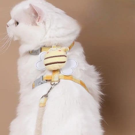 Sele og bånd for katter og små hunder, søt biedesign, størrelse M