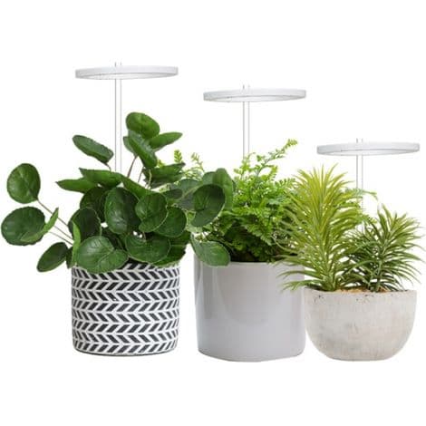 LED plantebelysning