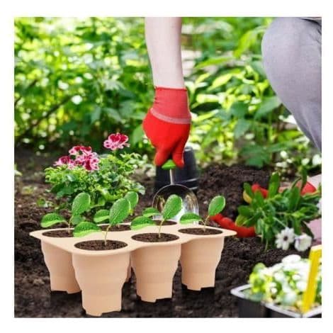 Set med 2 återanvändbara silikonfröbrickor med 6 stora celler för bonsai - Groddkopp
