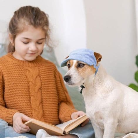 Hundecaps, justerbar, kordfløyel, ørehull, utendørs