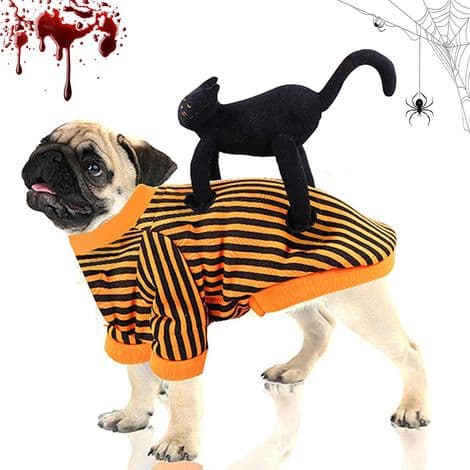 Halloween-kostume til hunde - Åndbart fleecemateriale - Justerbar velcrolukning - Velegnet til hunde og katte - Efter størrelse