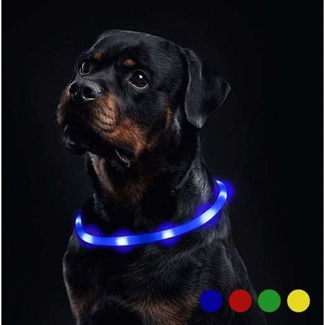 LED kjæledyrutstyr LED lysende silikon hundehalsbånd blått