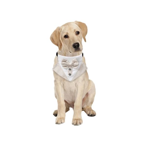 Hundesløyfe - Phoesky - Polyester - Festtilbehør - For hunder og katter