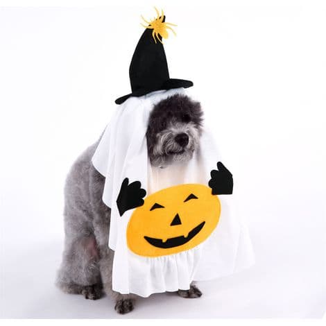 Pumpa- och spökkostym för hundar M
