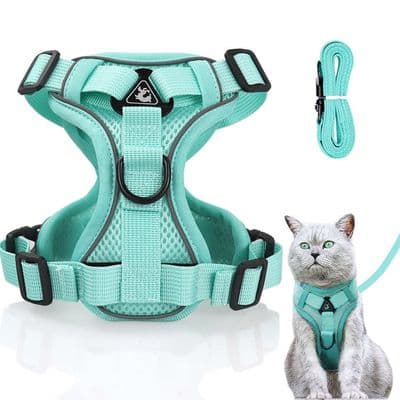 Kattesele - Anti-udbrud - Justerbar - Mintgrøn - Størrelse S (Bryst: 34-40cm, Længde: 1,5m)