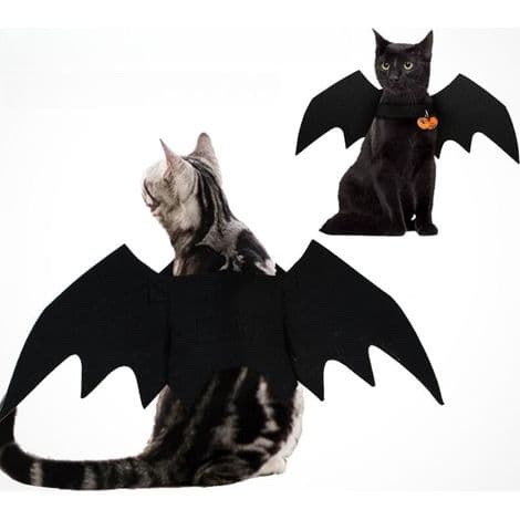 Halloween-dräkt med kala vingar för hundar och katter L