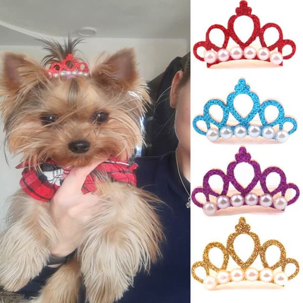Hårspenne til hund - Phoesky - Froskemønster - Perlekrone - Polyester - 3-4 cm - Høst - Mote