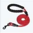 1,5 m (5 fod) rød nylon hundetrækreb, snor, tilbagekaldelsesrem, lang line