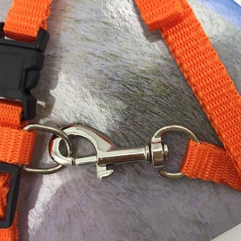 Justerbar H-formad kattsele och koppel, orange
