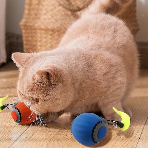 2025 Ny Speedy Tail Interaktivt Katteleke for Innekatter, Kattehale 2.0