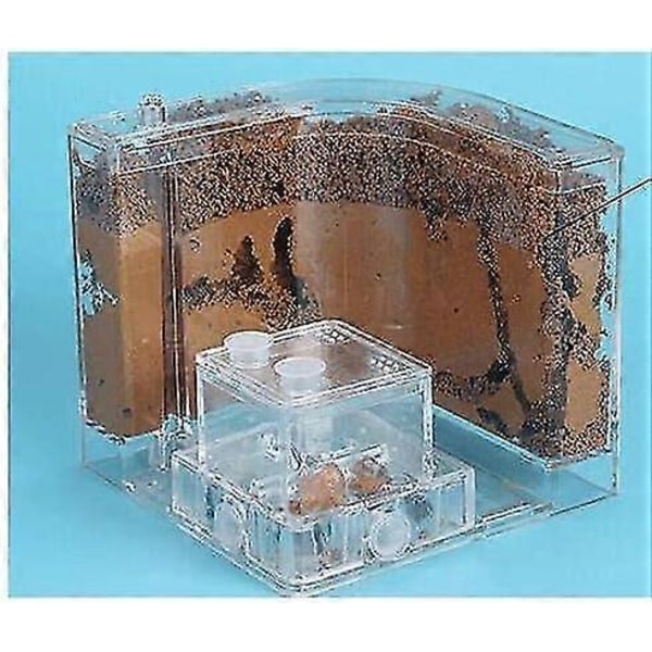 Stort Transparent Myrhus Fyll Lera Sand Myrfarm Bo Hem Habitat Professionell Myrvilla Myrakvarium Kit (färg : Fläktsand 21x11x11cm, Storlek : 21x Fan Soil 21x11x11cm 21x11x11cm
