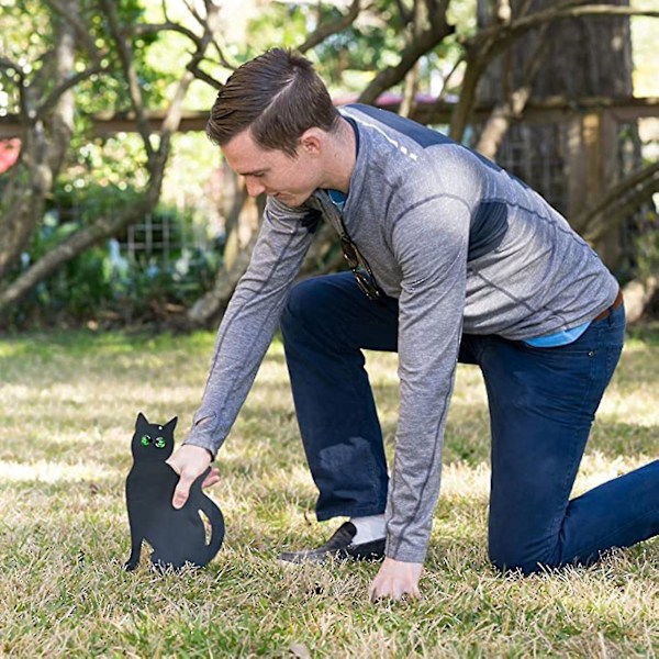 Kattfigur Markinsats Dekor Set om 3 2D Livslevande Kattunge med Reflekterande Ögon