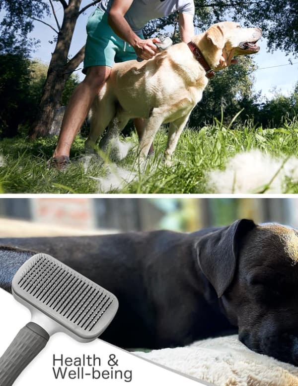 Børste til hund og kat - Hårfjerner - Langhåret/Korthåret