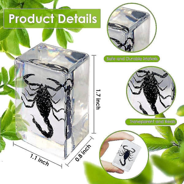 11 stk. Resin Insektprøve, Insektsamling Brevvægt, Resin Ægte Insekter, Forskellige Insekter Sp[C]