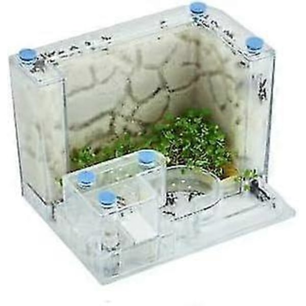Stort Transparent Myrhus Fyll Lera Sand Myrfarm Bo Hem Habitat Professionell Myrvilla Myrakvarium Kit (färg : Fläktsand 21x11x11cm, Storlek : 21x Fan Soil 21x11x11cm 21x11x11cm