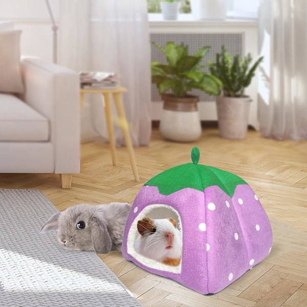 Manure Grisgömställe 2-pack Manure Gris Säng Hus Bur Tillbehör Mysigt Gömställe för Igelkottar Illrar Chinchillor & Andra Små Djur Red+Purple