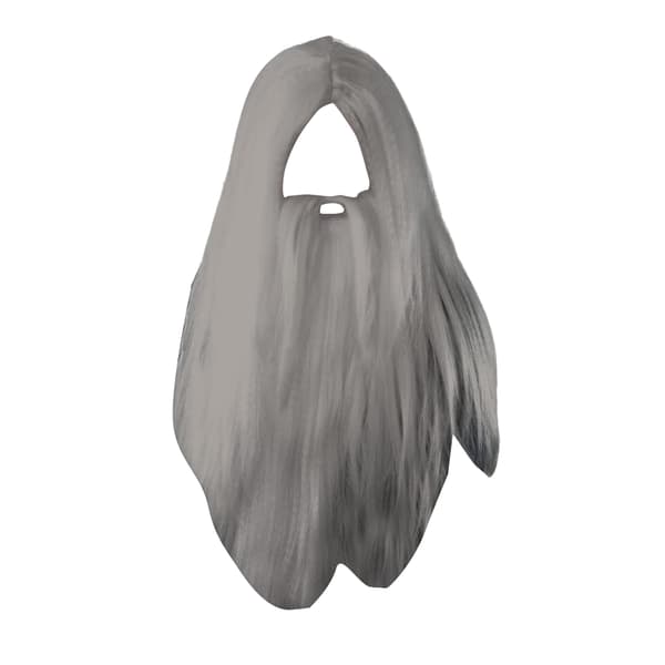Bristol Novelty Lång trollkarlsperuk och skägg för män, en storlek, grå Grey One Size