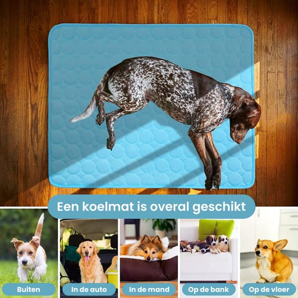 Kjøleteppe for hund og katt | 100 x 70 cm blå | XL
