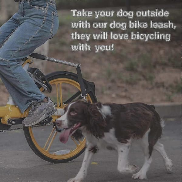 Cykelkoppel för hund med infällbar mekanism för utomhusäventyr