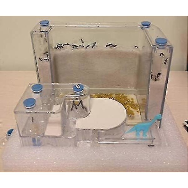 Stort Transparent Myrhus Fyll Lera Sand Myrfarm Bo Hem Habitat Professionell Myrvilla Myrakvarium Kit (färg : Fläktsand 21x11x11cm, Storlek : 21x Fan Soil 21x11x11cm 21x11x11cm