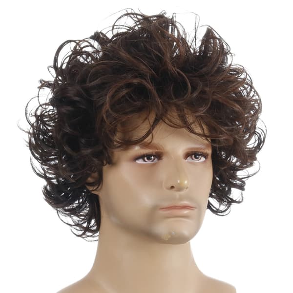 Fluffy, Short, Curly Wig for Men - Modern, Short, Curly Wig -CJY 28cm