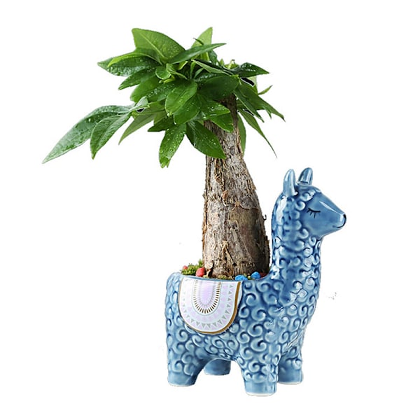 Unike Dyre Sukkulente Potter Søte Alpakka Sukkulente Potter Hjemmedekor For Mini Sukkulente Planter Mørk Blå Dark Blue B