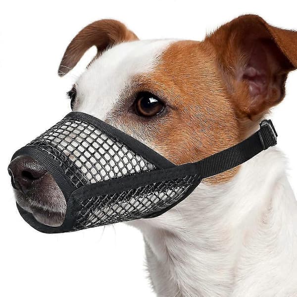 Breathable Soft Mesh Muzzle for Dogs, Adjustable for Small/Medium Dogs - Chihuahua, Poodle, Husky (Labrador)CJY M M Black