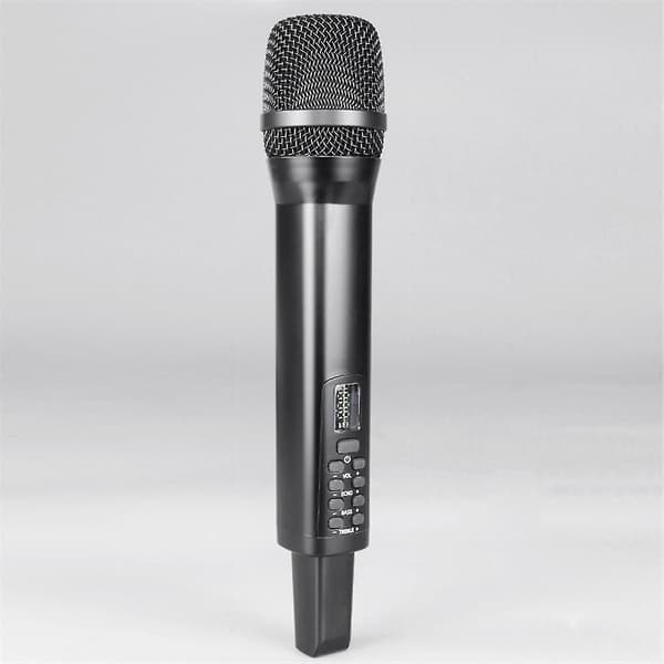 Karaoke trådløs mikrofonmottaker lyd sang ytelse diskant bass 2.4G trådløs håndholdt