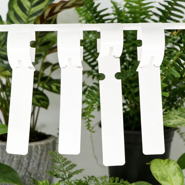 Växtetiketter 100-pack Hvid White 129
