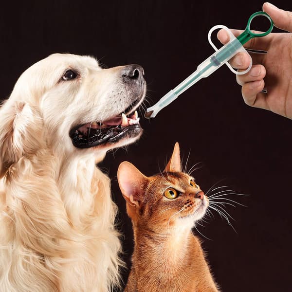 2 stk. kæledyrspille-popper til små kattehunde Kæledyrspille-blødspids-tabletsprøjte-skubber Dyremedicinfoder til fodringstilbehør (grøn)