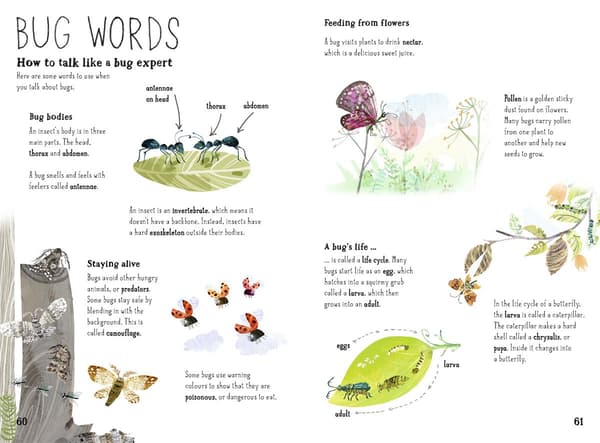 En smukt illustreret informativ bog for børn, der introducerer dem til insekter, der kravler, bider, flyver og meget mere.
